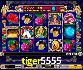 Roulette Table tiger5555